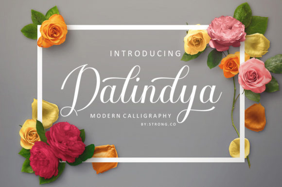 Dalinya Font: Elevating Campaign Visuals with Script Amp
