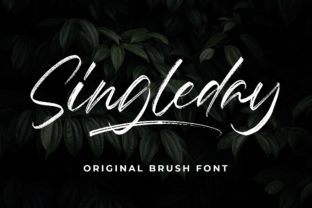 Singleday: A Real-World Designer Review